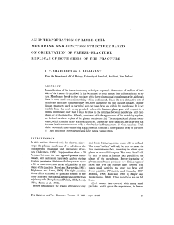 an interpretation of liver cell membrane and
