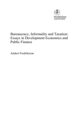 Bureaucracy, Informality and Taxation: Essays in