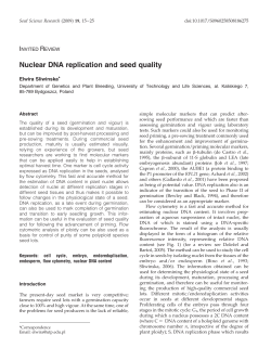 Nuclear DNA replication and seed quality