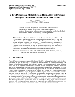 A Two-Dimensional Model of Blood Plasma Flow with Oxygen