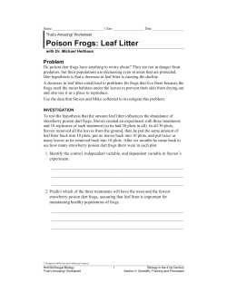Poison Frogs: Leaf Litter