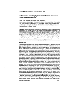 Sedimentation loss of phytoplankton cells from the mixed