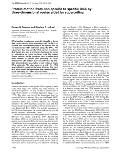 Protein motion from nonspecific to specific DNA by threedimensional