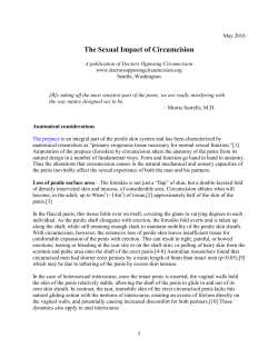 The Sexual Impact of Circumcision