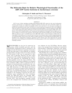 The Molecular Basis for Relative Physiological