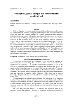 as a PDF
