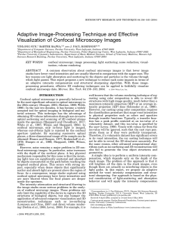 Adaptive image-processing technique and effective visualization of
