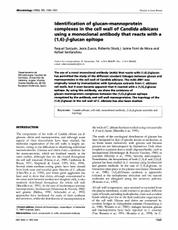 Identification of glucan-mannoprotein complexes in the cell wall of