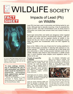 Impacts of Lead (Pb) on Wildlife