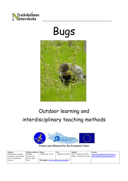 Outdoor learning and interdisciplinary teaching methods