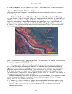 Bohemia Spillway 2008 LPBF Report