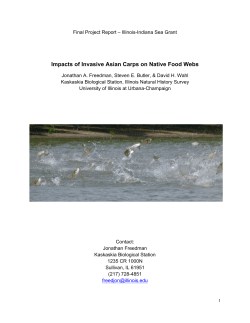 Impacts of Invasive Asian Carps on Native Food Webs