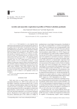 Aerobic and anaerobic respiration in profiles of Polesie Lubelskie