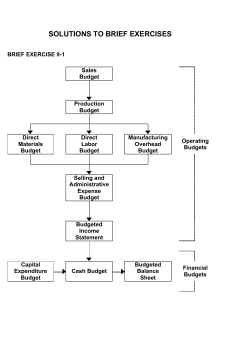 SOLUTIONS TO BRIEF EXERCISES