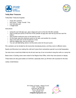 Teddy Bear Treasures - Girl Guides of Canada.
