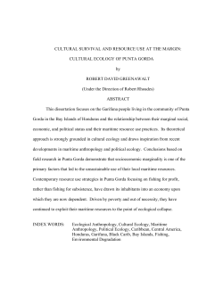 cultural ecology of punta gorda