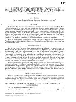 Several genera - AToL Decapoda