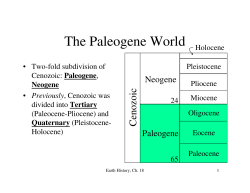 The Paleogene World