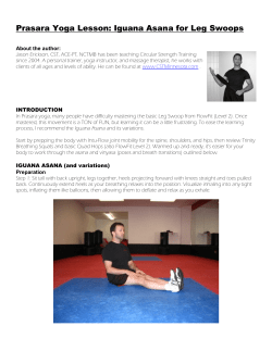 Iguana Asana for Leg Swoops