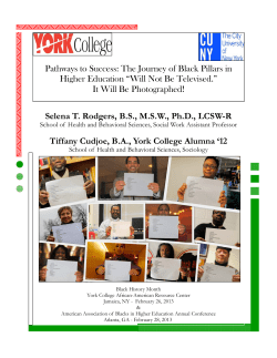 Pathways to Success: The Journey of Black Pillars in