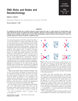 DNA Nicks and Nodes and Nanotechnology