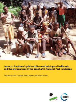 Impacts of artisanal gold and diamond mining