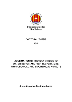 DOCTORAL THESIS 2015 ACCLIMATION OF PHOTOSYNTHESIS