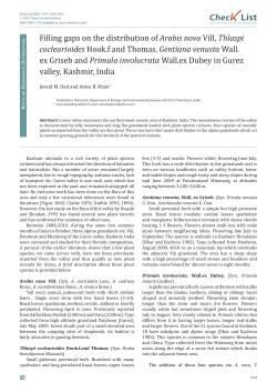 Filling gaps on the distribution of Arabis nova Vill, Thlaspi