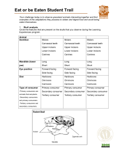 Eat or be Eaten Student Trail AusVELS Levels 7-10x