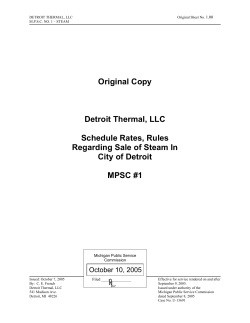 DETROIT THERMAL, LLC