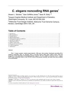 C. elegans noncoding RNA genes