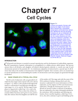 Figure 7-4 on page 66 - Online Open Genetics