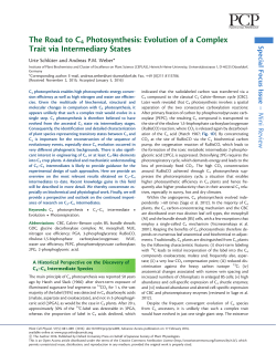 The Road to C4 Photosynthesis: Evolution of a
