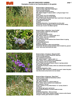 MALOOF DISCOVERY GARDEN Examples of some of our favorite