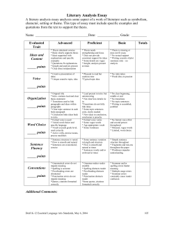 Literary Analysis Essay
