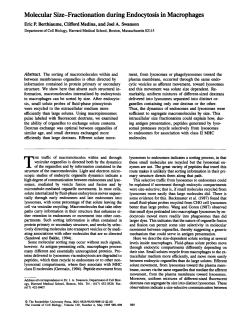 Molecular Size-Fractionation during Endocytosis in