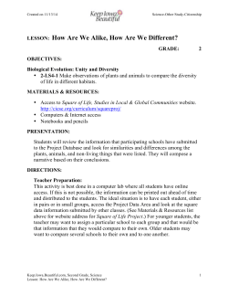 How Are We Alike, Different Lesson-2nd grade