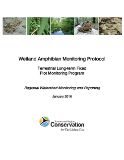 Wetland Amphibian Monitoring Protocol