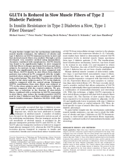 GLUT4 Is Reduced in Slow Muscle Fibers of Type 2