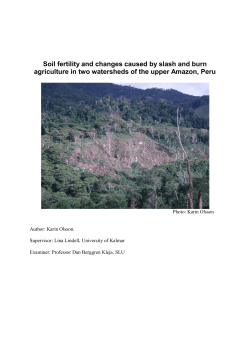 Soil fertility and changes caused by slash and burn agriculture in