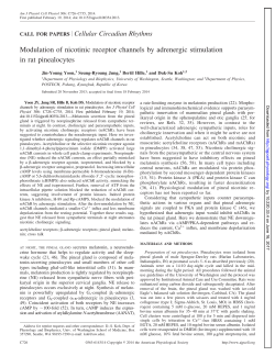 Modulation of nicotinic receptor channels by adrenergic - AJP-Cell