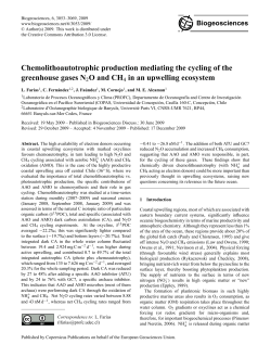 Chemolithoautotrophic production mediating the