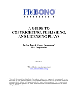 PDF - Pro Bono Partnership