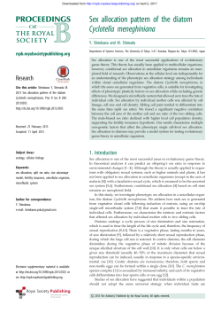 Sex allocation pattern of the diatom Cyclotella