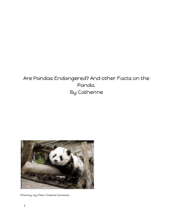 Are Pandas Endangered? - Avoca School District 37