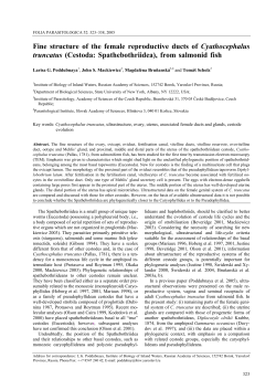 Fine structure of the female reproductive ducts of