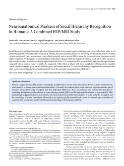 Neuroanatomical Markers of Social Hierarchy Recognition in