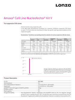 Optimized Protocol for Suspension CHO Clones