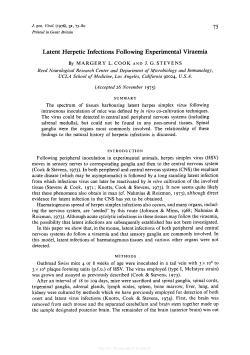 Latent Herpetic Infections Following Experimental Viraemia