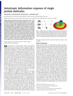 Anisotropic deformation response of single protein molecules